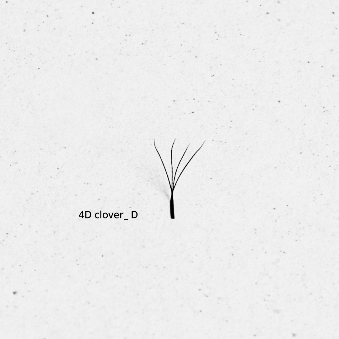 Fibras 4D clover café